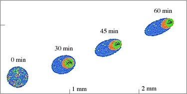 selected
frames of the movie